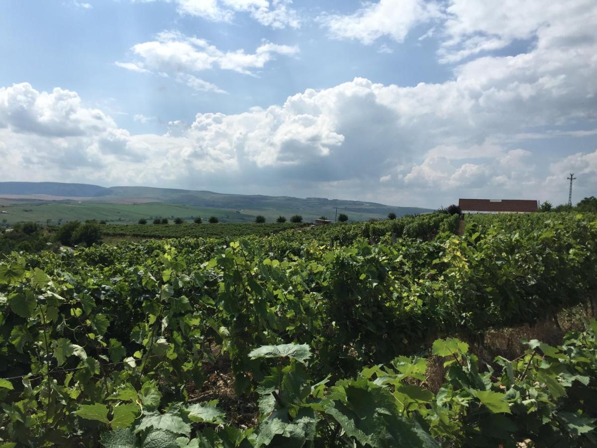 Wineyards Salin Bed & Breakfast ทูร์ดา ภายนอก รูปภาพ