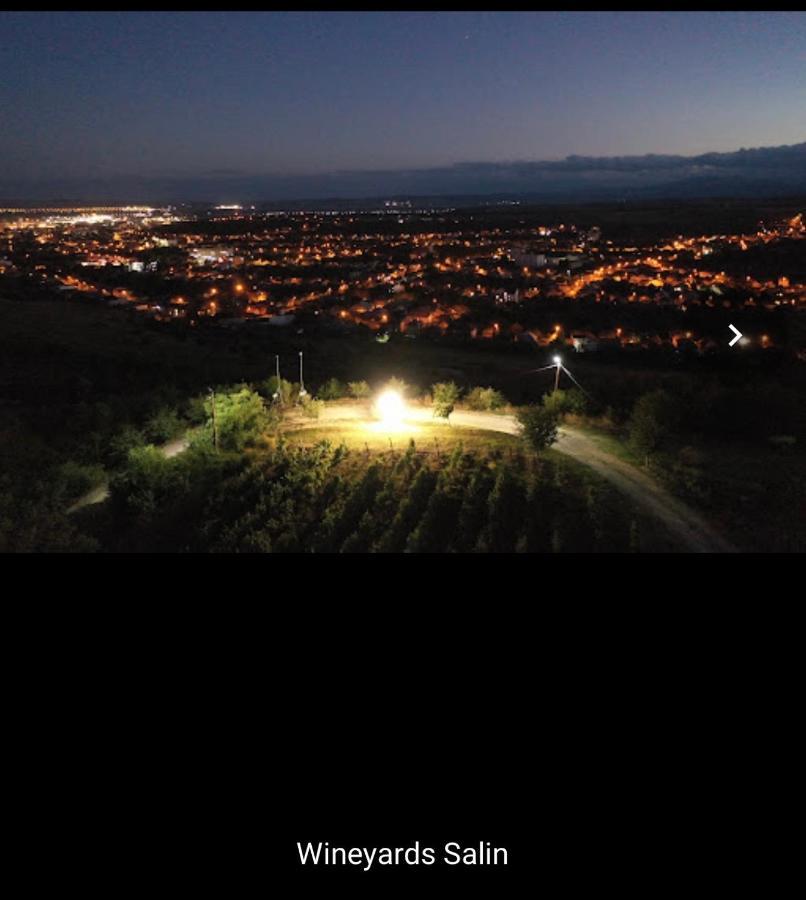 Wineyards Salin Bed & Breakfast ทูร์ดา ภายนอก รูปภาพ