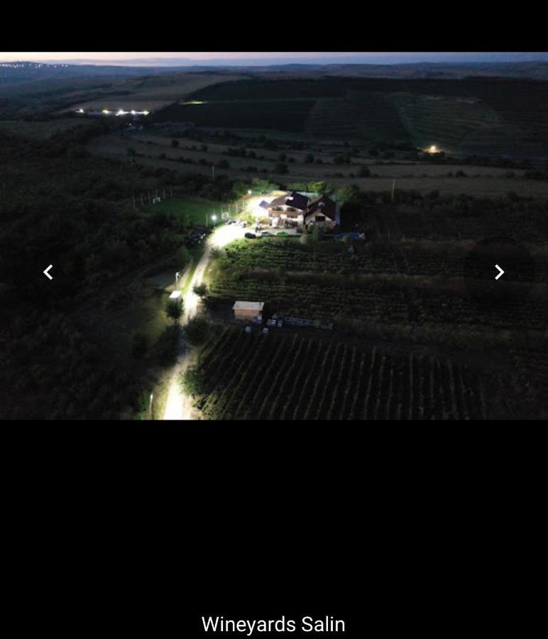 Wineyards Salin Bed & Breakfast ทูร์ดา ภายนอก รูปภาพ