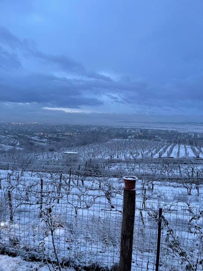 Wineyards Salin Bed & Breakfast ทูร์ดา ภายนอก รูปภาพ